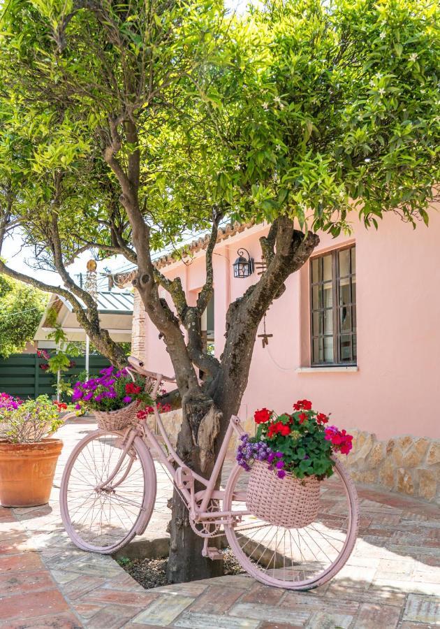 Quinta Aida Cottage And B&B Suites Lagoa  Kültér fotó